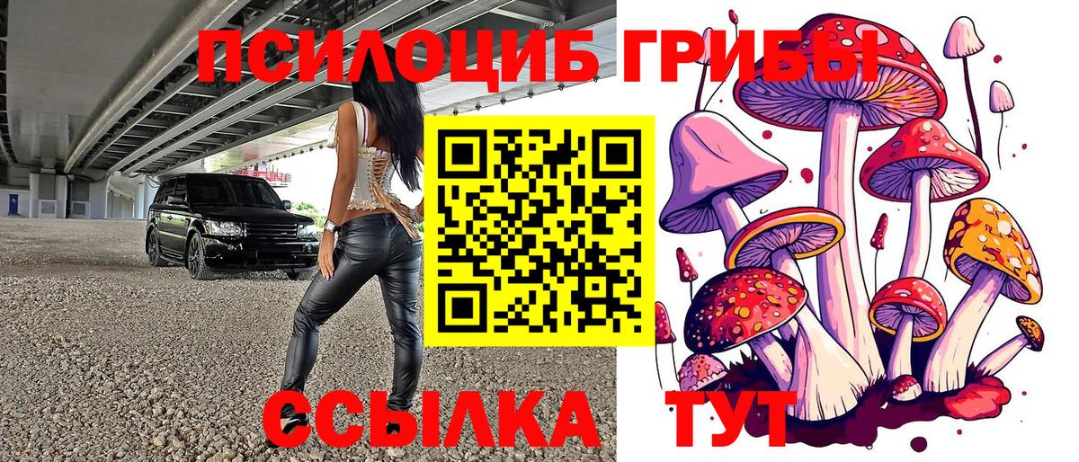 Омск  Галлюциногенные грибы Magic Shrooms  Вход с VPN 