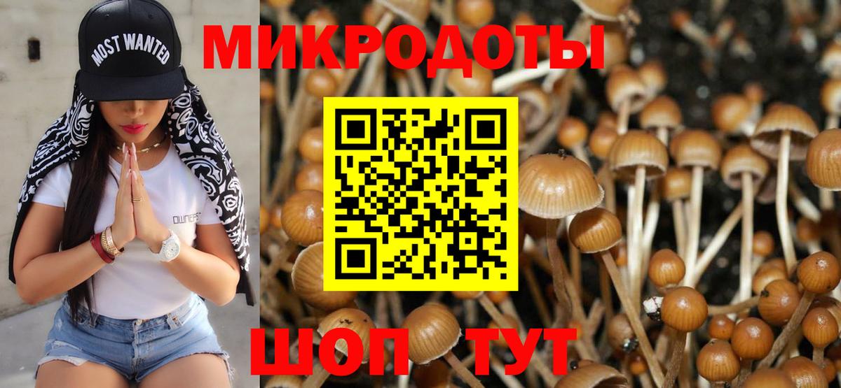 Галлюциногенные грибы Cubensis Омск
